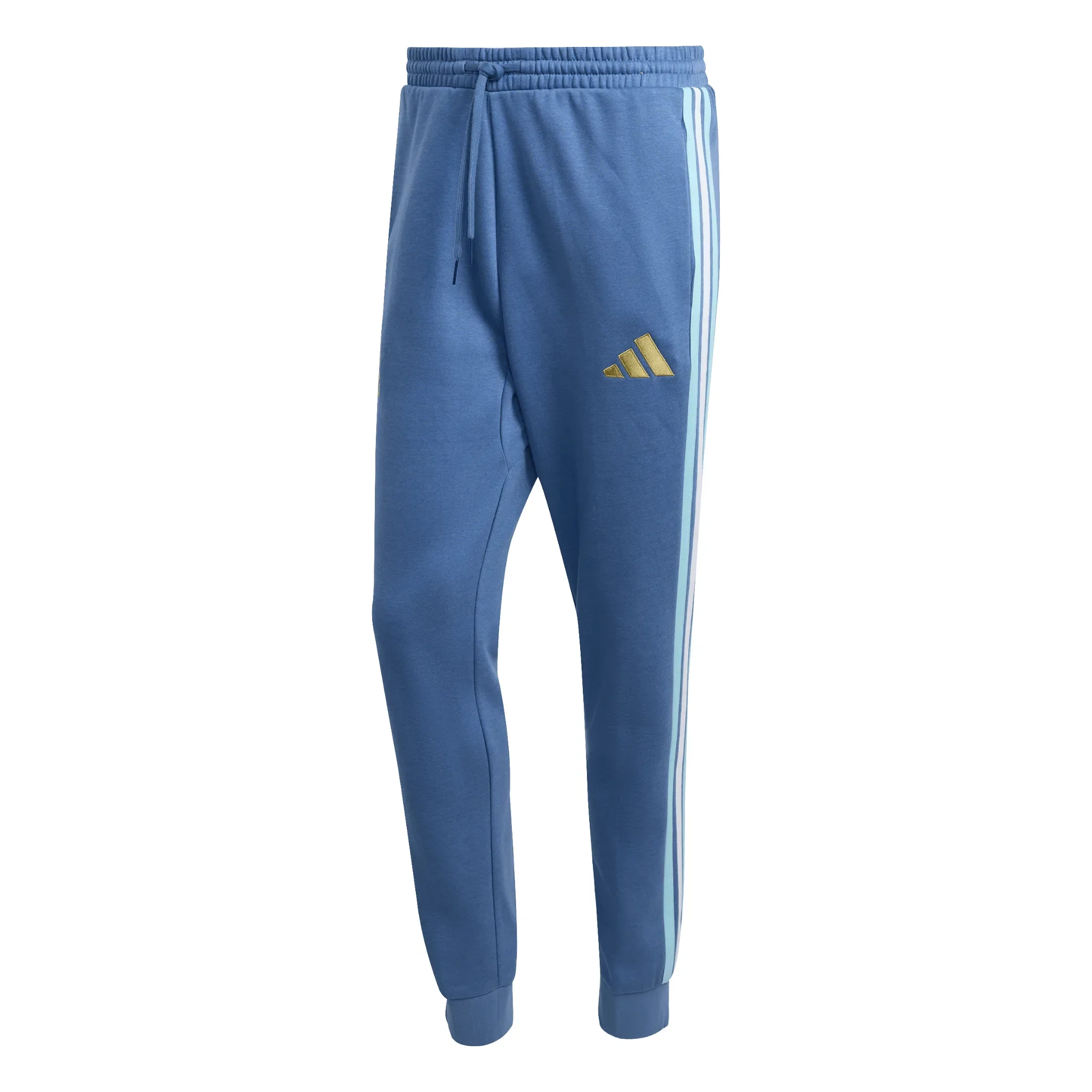 Argentina AFA DNA Fleece Pants 2026/27 - Image 5