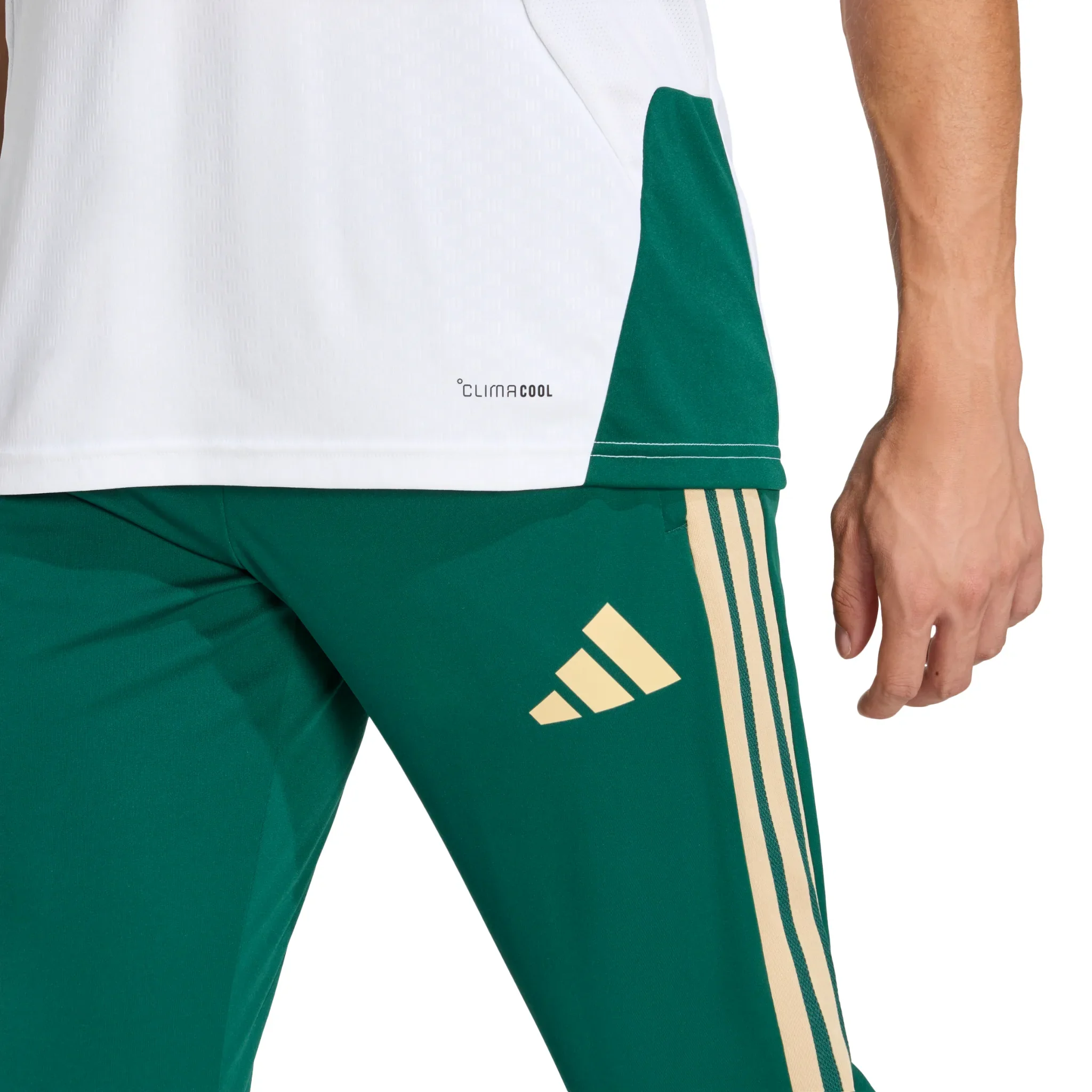 Italy FIGC Tiro Training Pants 2026/27 - Image 3
