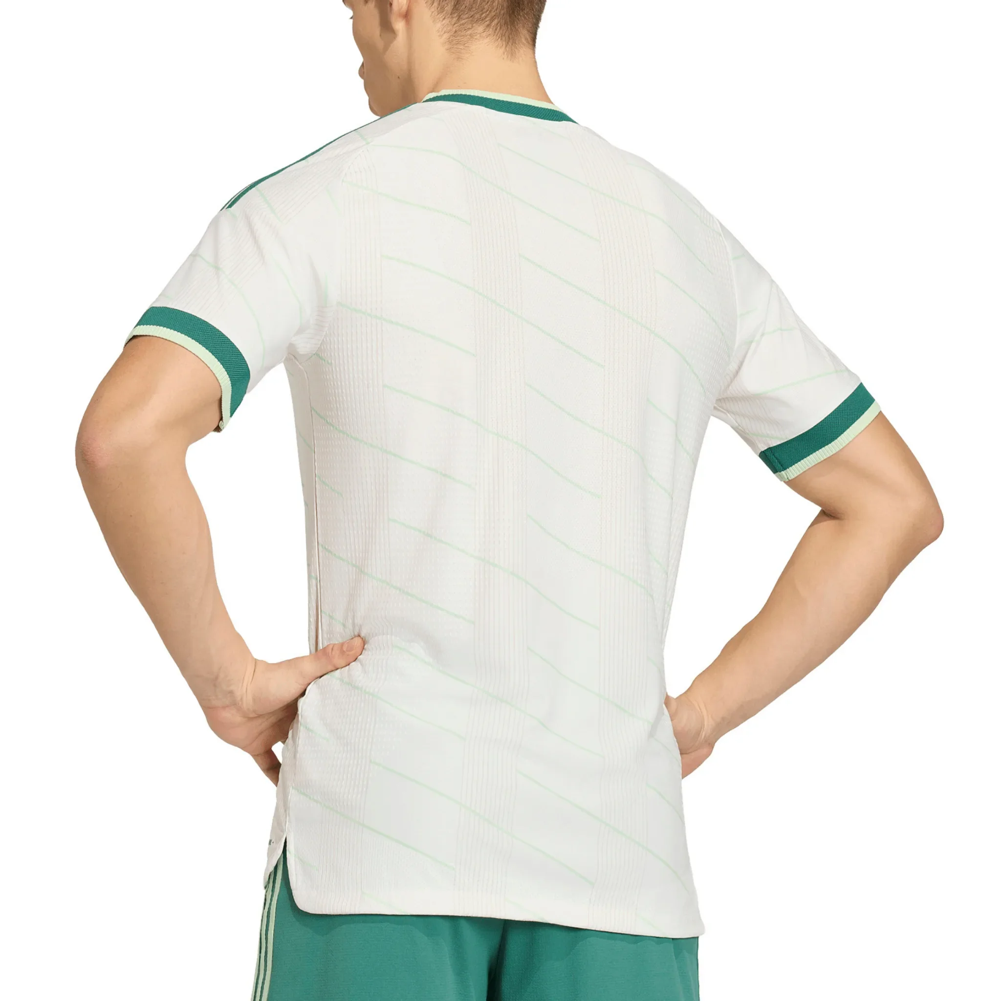Northern Ireland IFA Authentic Away Jersey 2026/27 - Image 2