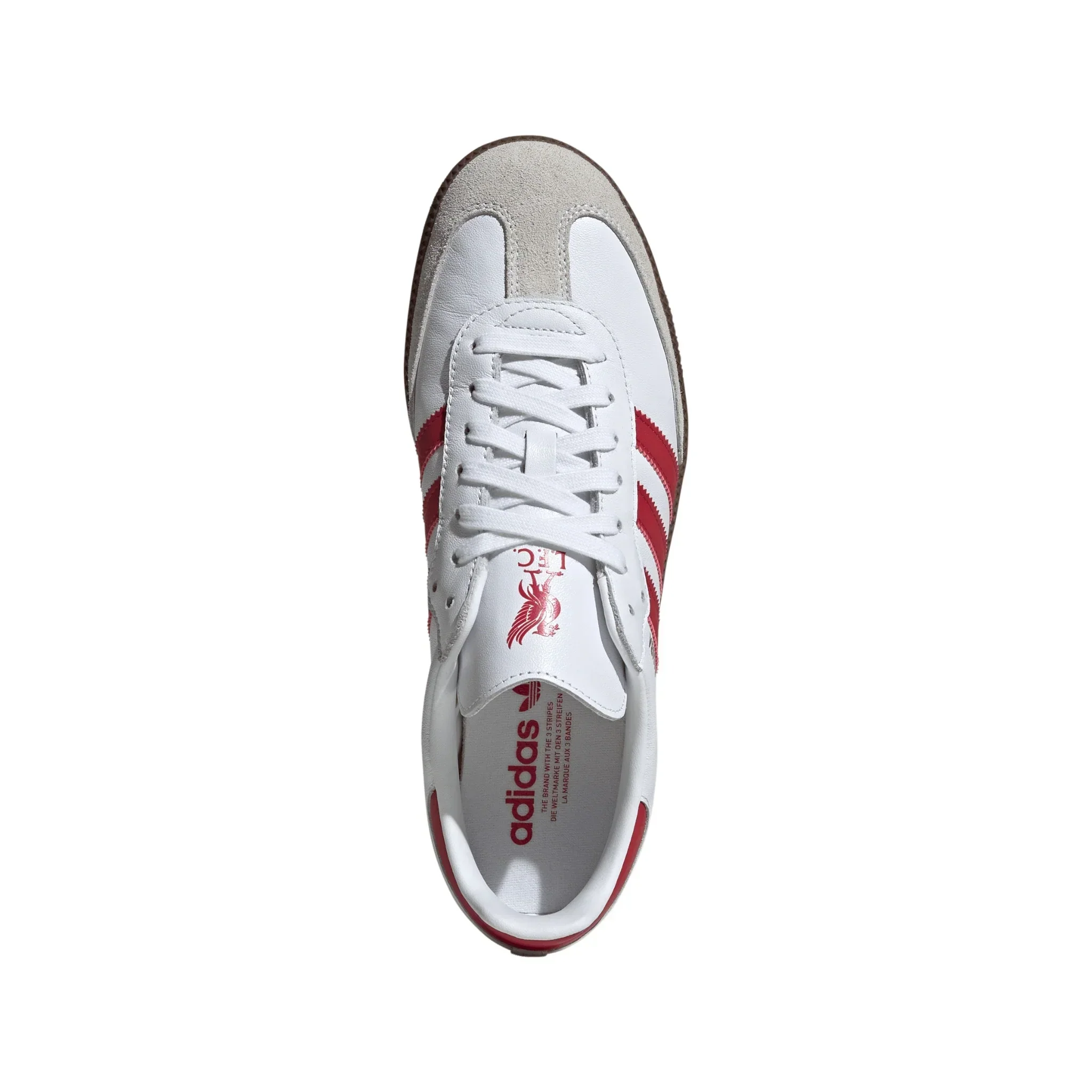 Samba Liverpool FC Indoor Soccer Shoes 2025/26 - Image 3