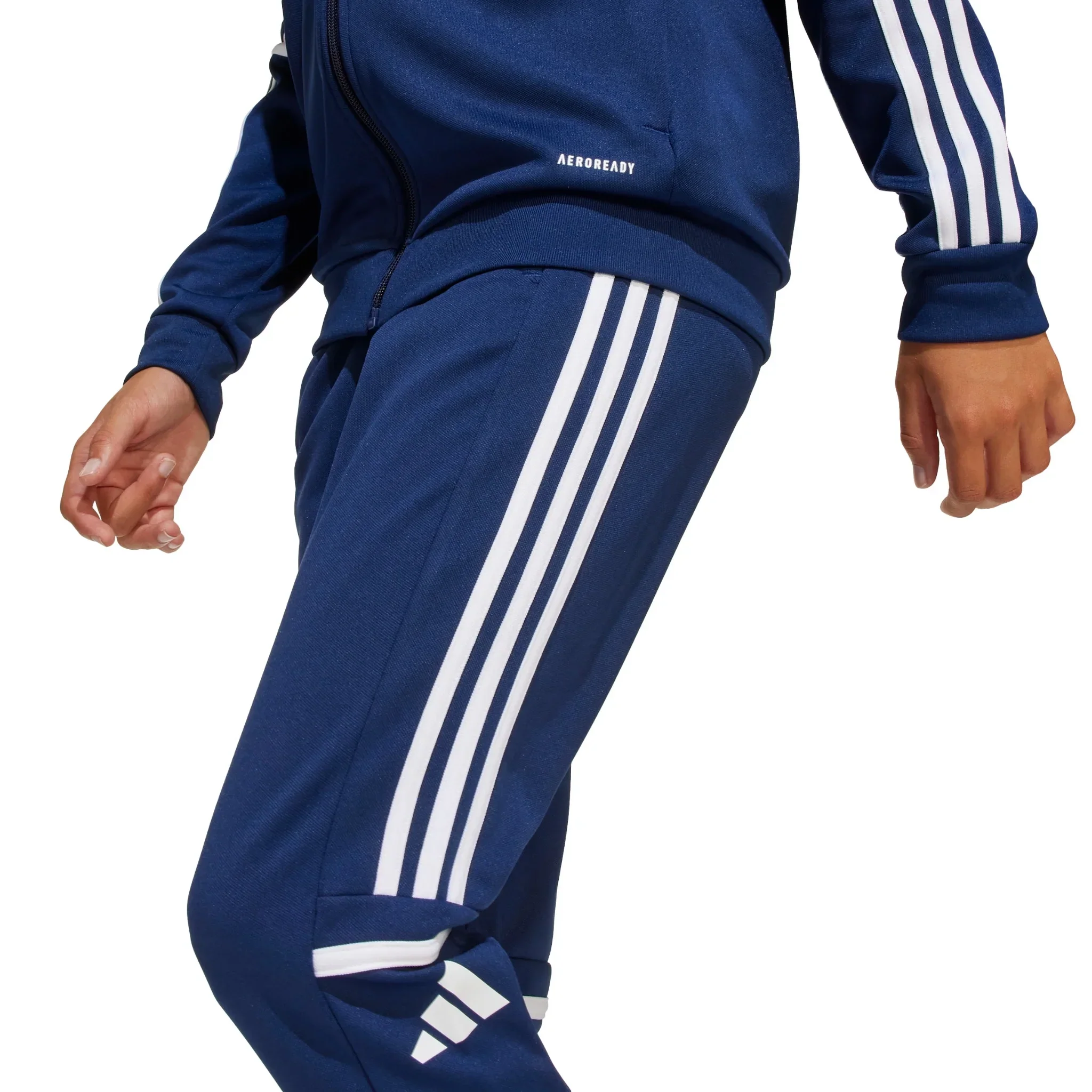 Squadra 25 Junior Training Pants - Image 3