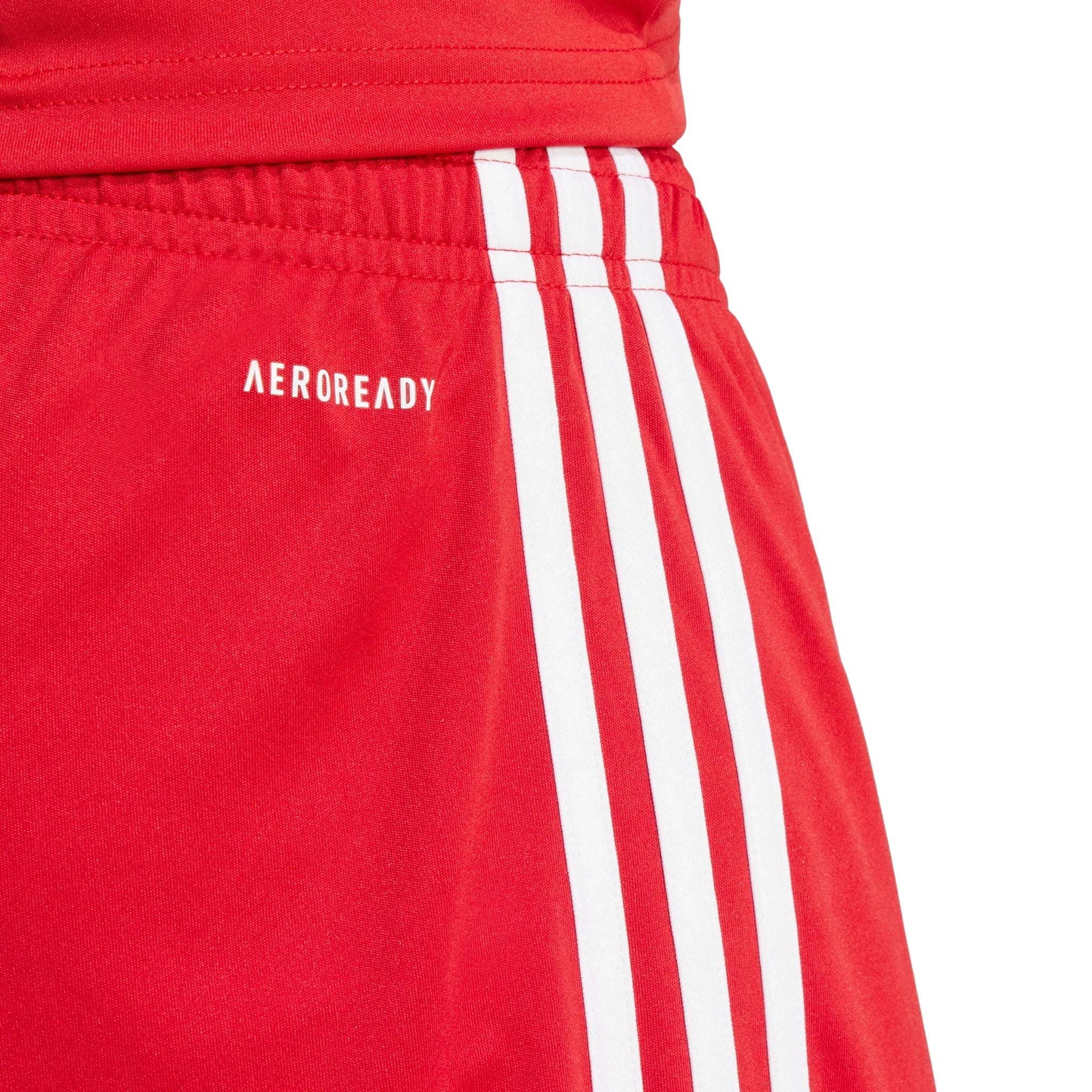 Squadra 25 Shorts - Image 9