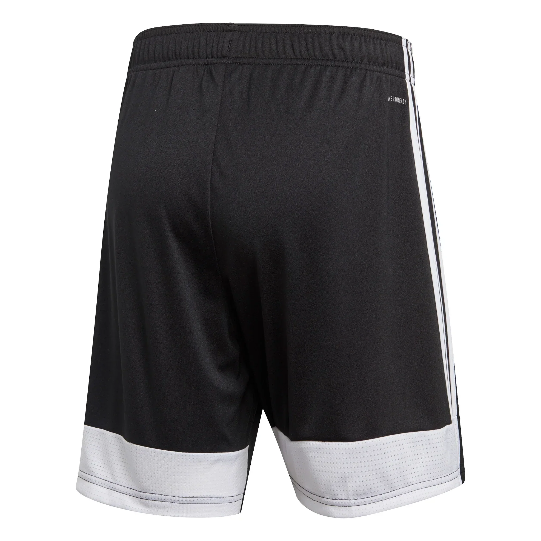 Tastigo 19 Shorts - Image 4