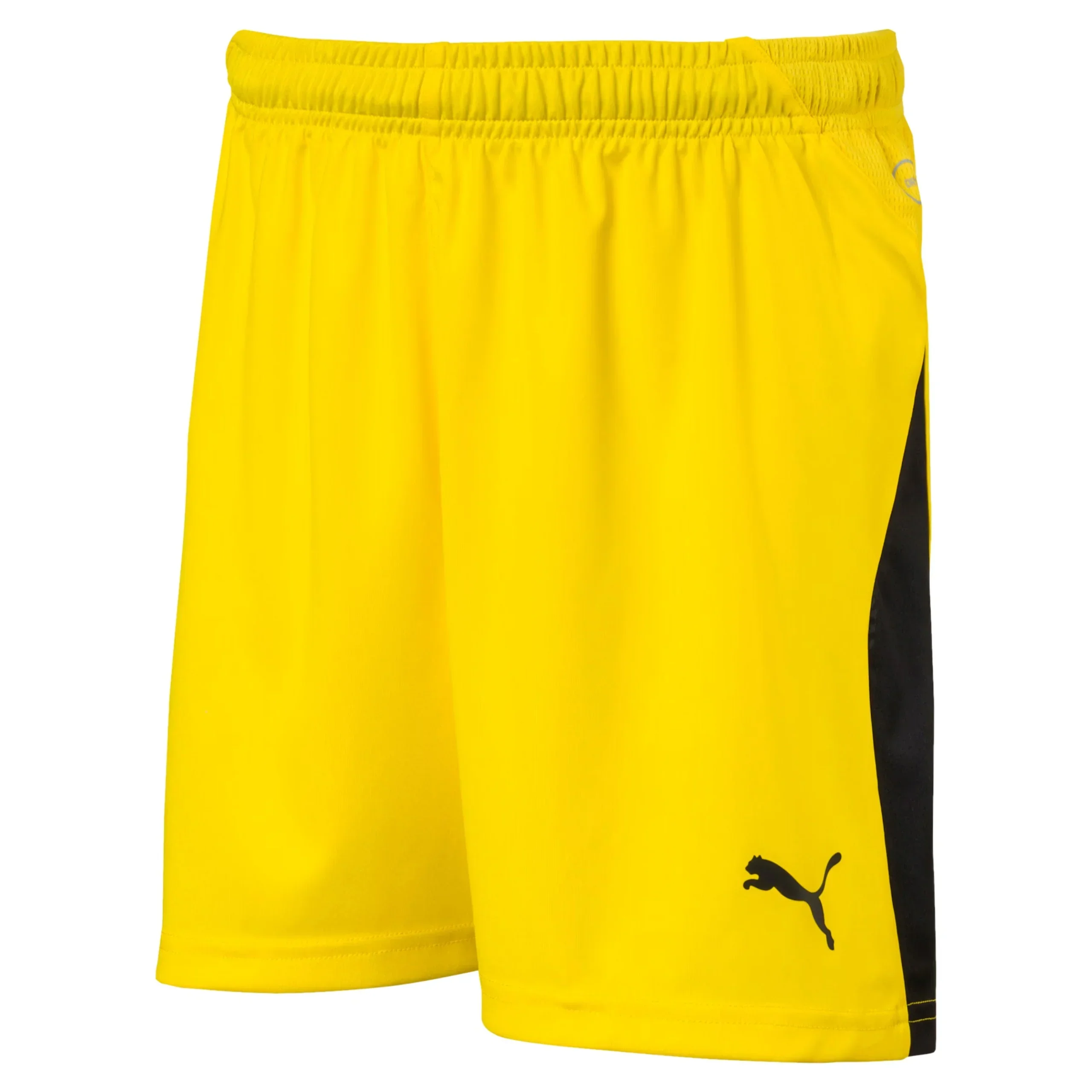 Liga Goalkeeper Junior Shorts