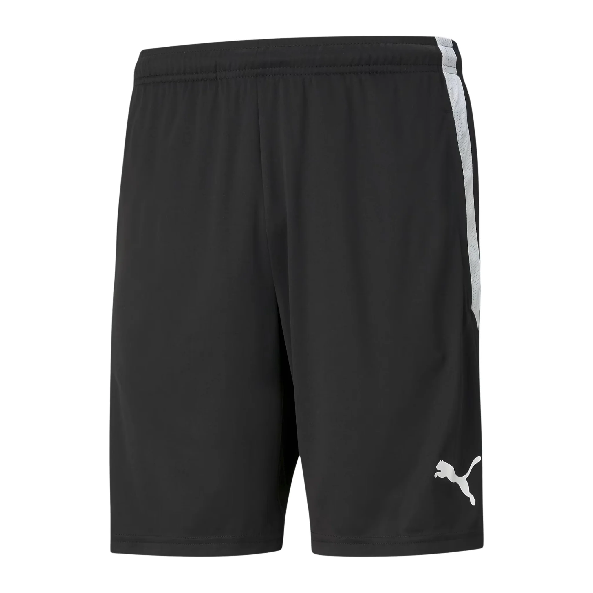 TeamLiga Training Shorts